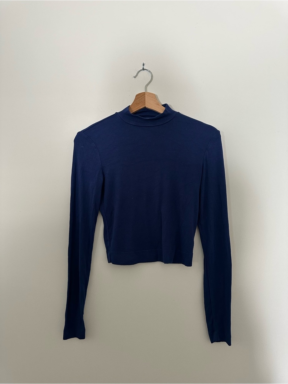 Aritizia Babaton Blue Turtleneck